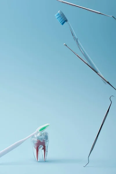 Escovas de dentes, equipamentos odontológicos e dente de plástico artificial em fundo azul — Fotografia de Stock