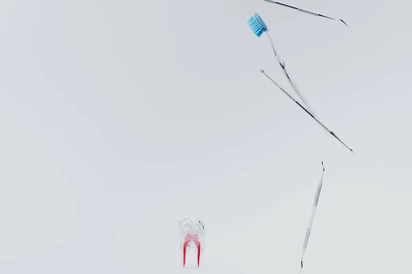 Instruments dentaires, brosse à dents à poils bleus et dent artificielle en plastique sur fond gris — Photo de stock