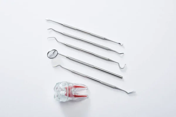 Visão superior de ferramentas de equipamentos odontológicos e dente de plástico artificial em fundo cinza — Fotografia de Stock