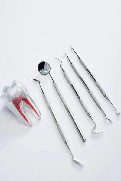 High angle view of dental equipment tools and artificial plastic tooth on grey background — Stock Photo
