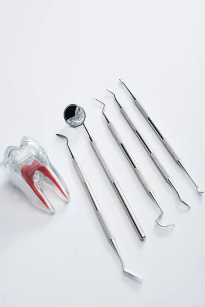 High angle view of dental equipment tools and artificial plastic tooth on grey background — Stock Photo