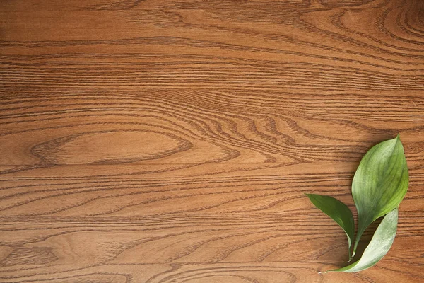 Top view of green leaves on wooden surface — Stock Photo