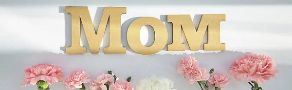 Draufsicht auf rosa Nelken und Mama-Schriftzug auf weißem Hintergrund mit Sonnenlicht und Schatten, Panoramaaufnahme — Stockfoto