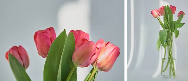 Collage of spring blooming pink tulips with green leaves in vase on white with shadows — Stock Photo