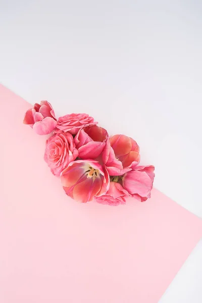 Vista superior de rosas rosadas y brotes de tulipanes sobre fondo rosa y blanco con espacio para copiar - foto de stock