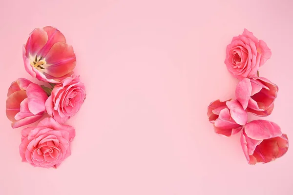 Vue de dessus des roses roses et des bourgeons de tulipes sur fond rose avec espace de copie — Photo de stock