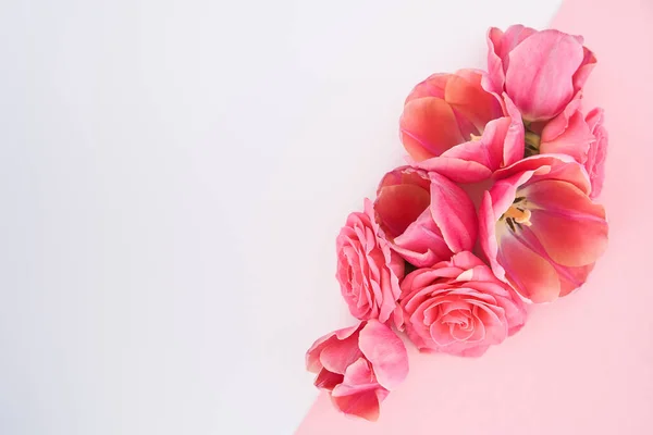 Vue de dessus des fleurs de printemps sur fond blanc et rose avec espace de copie — Photo de stock