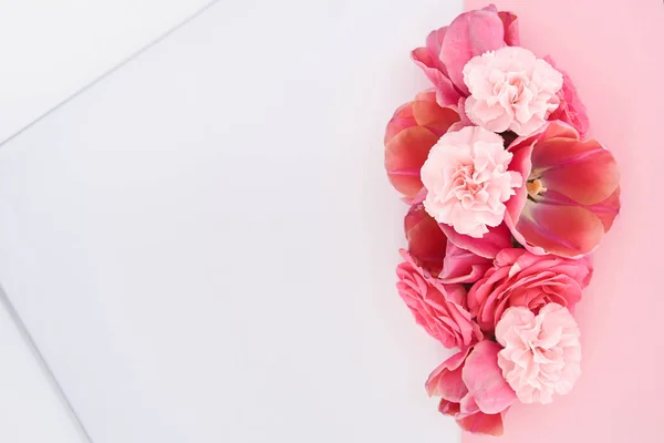 Vista superior de flores de primavera sobre fondo blanco y rosa con espacio para copiar - foto de stock