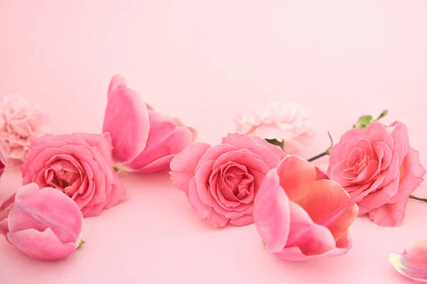 Blooming spring flowers on pink background — Stock Photo