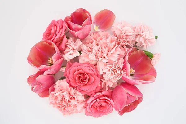 Ansicht von oben rosa Frühlingsblumen auf weißem Hintergrund — Stockfoto