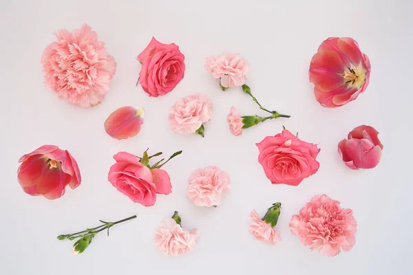 Vue de dessus des fleurs roses du printemps éparpillées sur fond blanc — Photo de stock