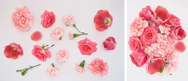 Collage de flores rosadas de primavera esparcidas sobre fondo blanco - foto de stock