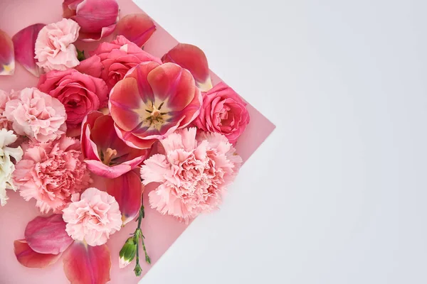 Draufsicht auf Rosen, Tulpen und Nelken auf rosa und weißem Hintergrund — Stockfoto