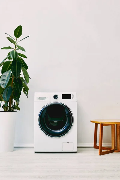 Plante verte près de la machine à laver et table basse en bois dans la salle de bain — Photo de stock