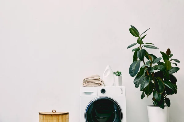 Garrafa de detergente e toalhas na máquina de lavar roupa perto de cesta de lavandaria e planta verde no banheiro — Fotografia de Stock