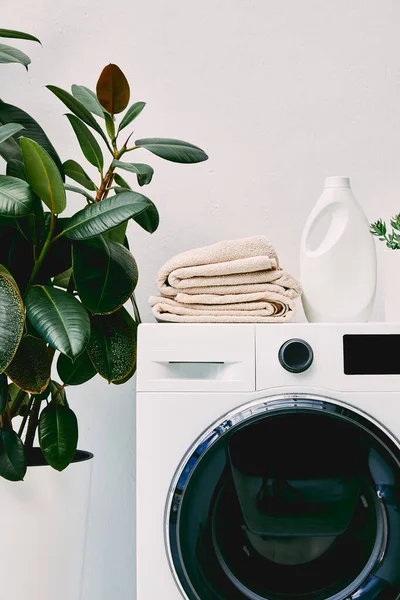 Planta con hojas verdes cerca de la botella de detergente y toallas en la lavadora en el baño - foto de stock