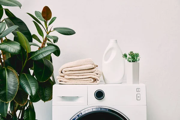 Plants with green leaves near detergent bottle and towels on washing machine in bathroom — Stock Photo