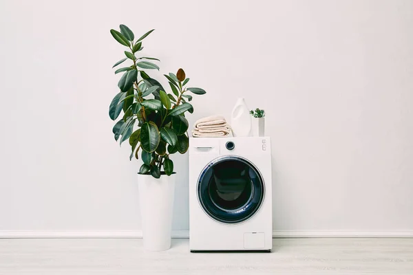 Moderna casa de banho com plantas perto de garrafa de detergente e toalhas na máquina de lavar roupa — Fotografia de Stock