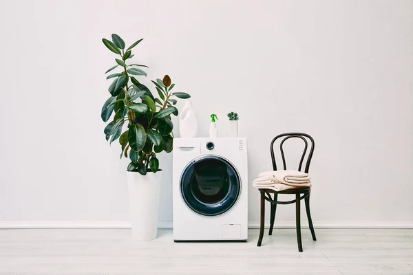 Green plants near bottles on washing machine near chair with towels — Stock Photo