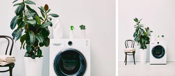 Коллаж зеленых растений возле бутылок с моющим средством на стиральных машинах рядом со стульями с полотенцами — стоковое фото
