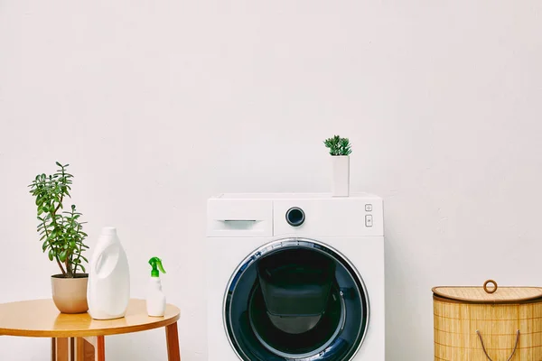 Зеленые растения и бутылки возле журнального столика, корзина для белья и стиральная машина в ванной комнате — стоковое фото