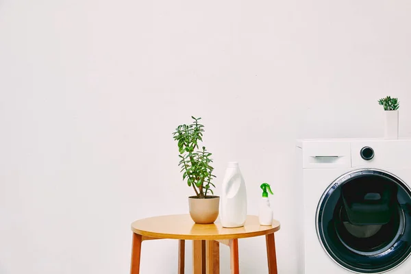 Grüne Pflanze und Flaschen auf Couchtisch neben moderner Waschmaschine im Badezimmer — Stockfoto