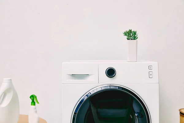 Garrafas de detergente perto da planta na máquina de lavar roupa moderna no banheiro — Fotografia de Stock