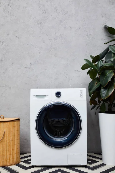 Máquina de lavar roupa moderna perto de planta verde, cesta de lavanderia e tapete no banheiro — Fotografia de Stock