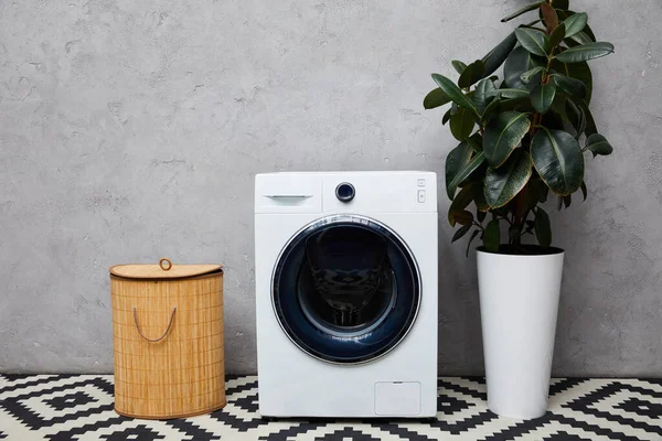 Современная стиральная машина возле зеленого растения, корзина для белья и декоративный ковер в ванной комнате — стоковое фото