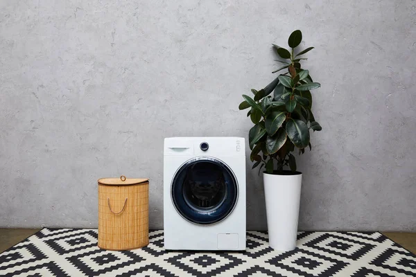 Machine à laver près de plantes vertes, panier à linge et tapis ornemental dans la salle de bain moderne — Photo de stock