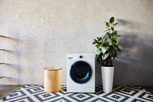 Cesta de lavandería cerca de lavadora, planta verde y alfombra ornamental en baño moderno - foto de stock