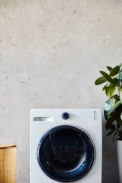 Cesta de lavandería cerca de lavadora y planta verde en baño moderno - foto de stock