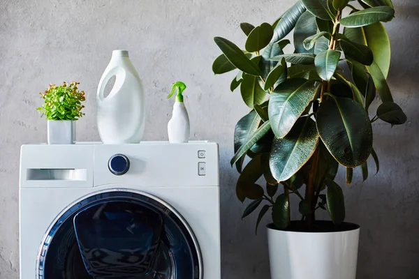 Detergente e spray garrafas na máquina de lavar roupa perto de plantas no banheiro — Fotografia de Stock