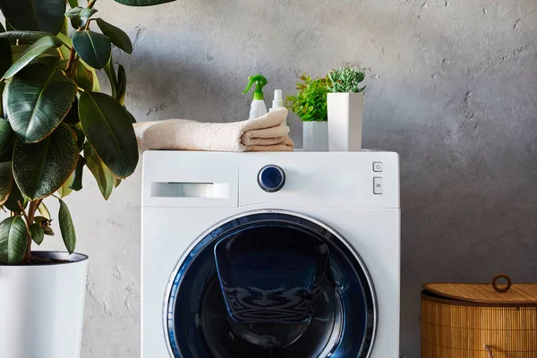 Plantas, toalhas e garrafas na máquina de lavar roupa perto de cesta de lavanderia no banheiro — Fotografia de Stock