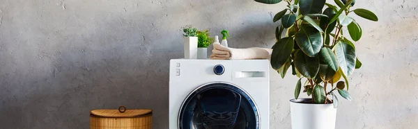 Plano panorámico de plantas, toallas y botellas en la lavadora cerca de la cesta de lavandería en el baño - foto de stock