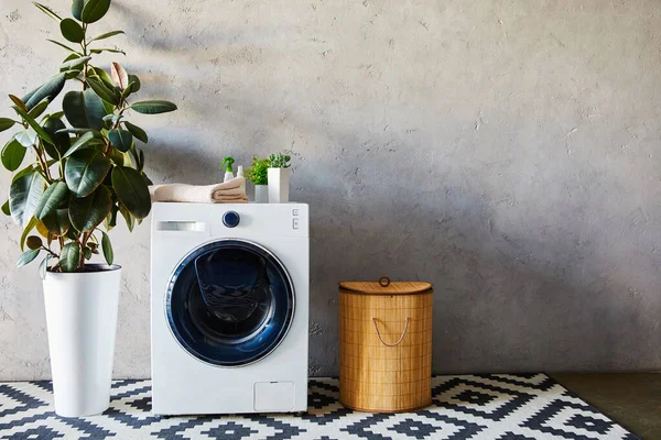 Green plants, towel and bottles on white washing machine near laundry basket and ornamental carpet in bathroom — Stock Photo