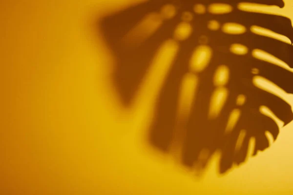 Sombra de hoja tropical sobre fondo amarillo - foto de stock