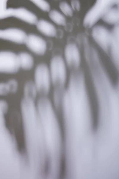 Tropical leaf shadow on white background — Stock Photo