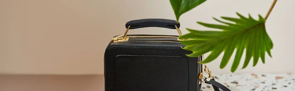 Leather black handbag with golden zippers on beige background with tropical green leaves, panoramic shot — Stock Photo