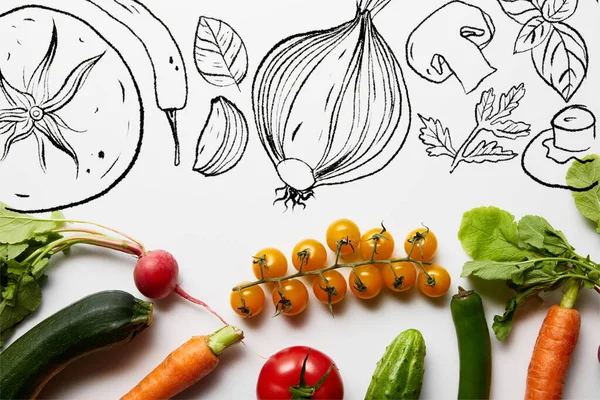 Top view of fresh vegetables with green leaves on white background with illustration — Stock Photo