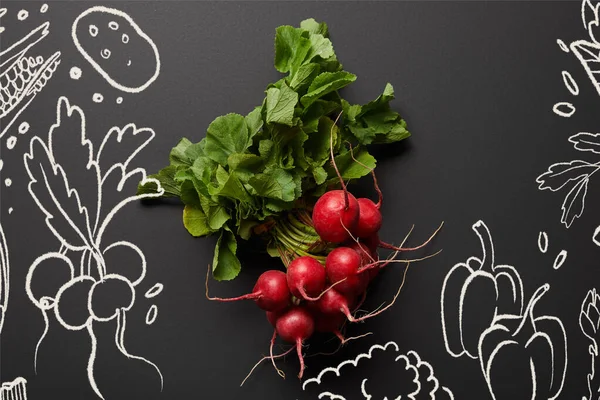 Vue du dessus du radis nutritif cru savoureux avec des feuilles vertes sur fond noir avec illustration de légumes — Photo de stock
