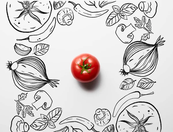 Vista superior de rojo delicioso tomate maduro sobre fondo blanco con ilustración de verduras negras - foto de stock