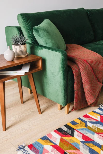 Sofá verde con almohada y manta cerca de la mesa de centro de madera con planta y alfombra de colores - foto de stock