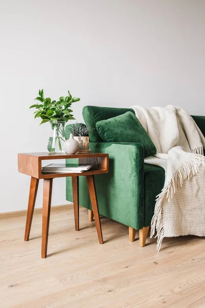 Grünes Sofa mit Kissen und Decke in der Nähe eines Holztisches mit Pflanzen — Stockfoto