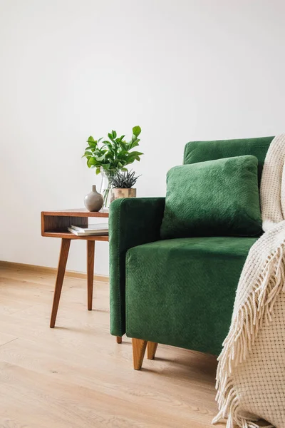 Sofá verde con almohada y manta cerca de la mesa de centro de madera con plantas - foto de stock