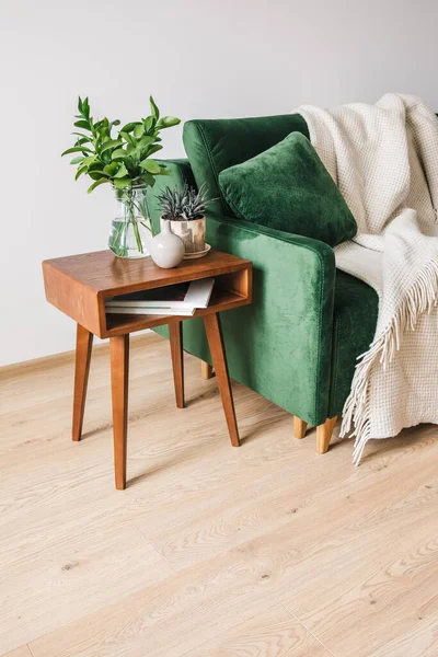 Sofá verde con almohada y manta cerca de la mesa de centro de madera con plantas - foto de stock