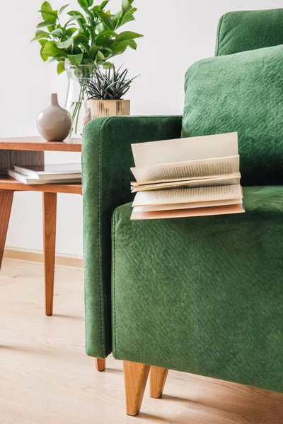 Sofá verde con almohada, libro y manta cerca de mesa de centro de madera con plantas — Stock Photo