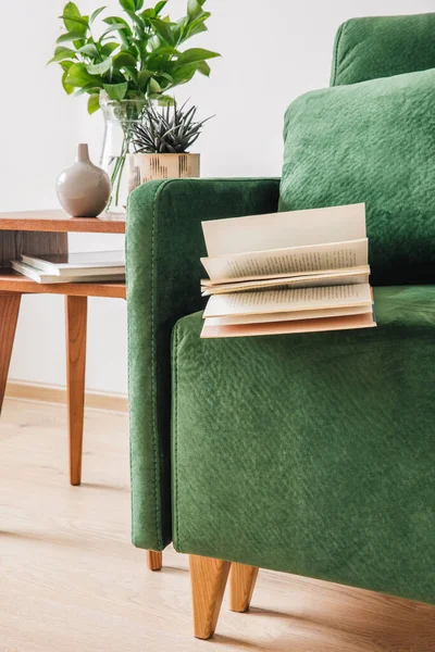 Green sofa with pillow, book and blanket near wooden coffee table with plants — Stock Photo