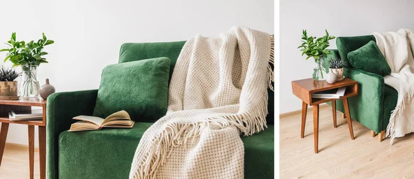 Collage de sofá verde con almohada, libro y manta cerca de mesa de centro de madera con plantas - foto de stock