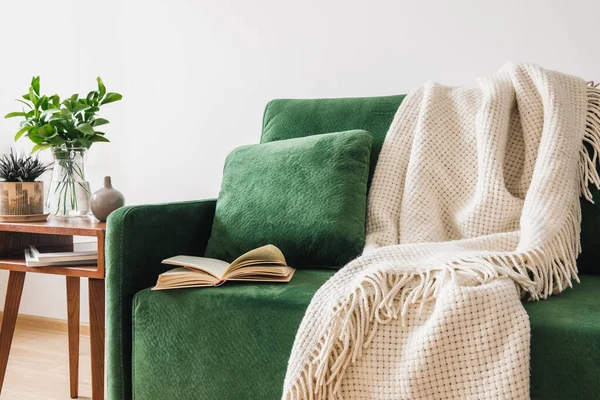 Sofá verde com travesseiro, livro e cobertor perto de mesa de café de madeira com plantas — Fotografia de Stock